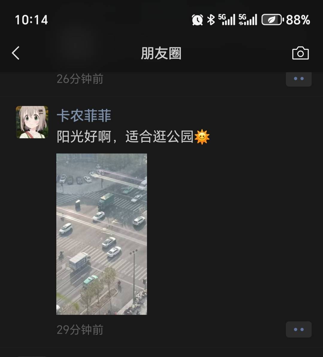 阳光好啊，适合逛公园

99 / 作者:丰收的喜悦咸鱼 / 