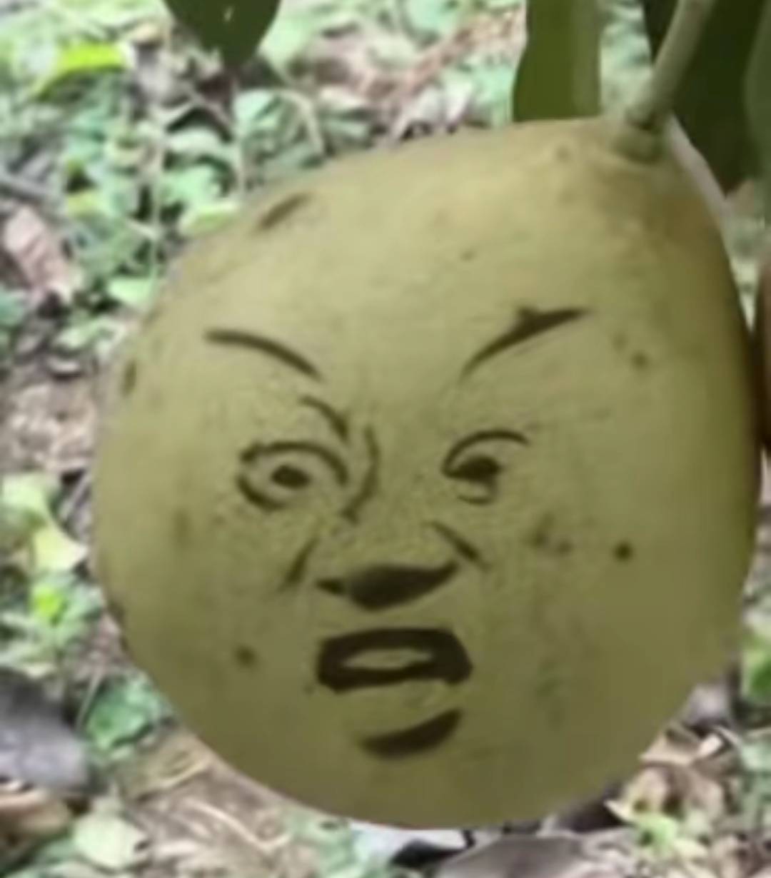 醋翼支付15话肥

39 / 作者:夜也快8 / 