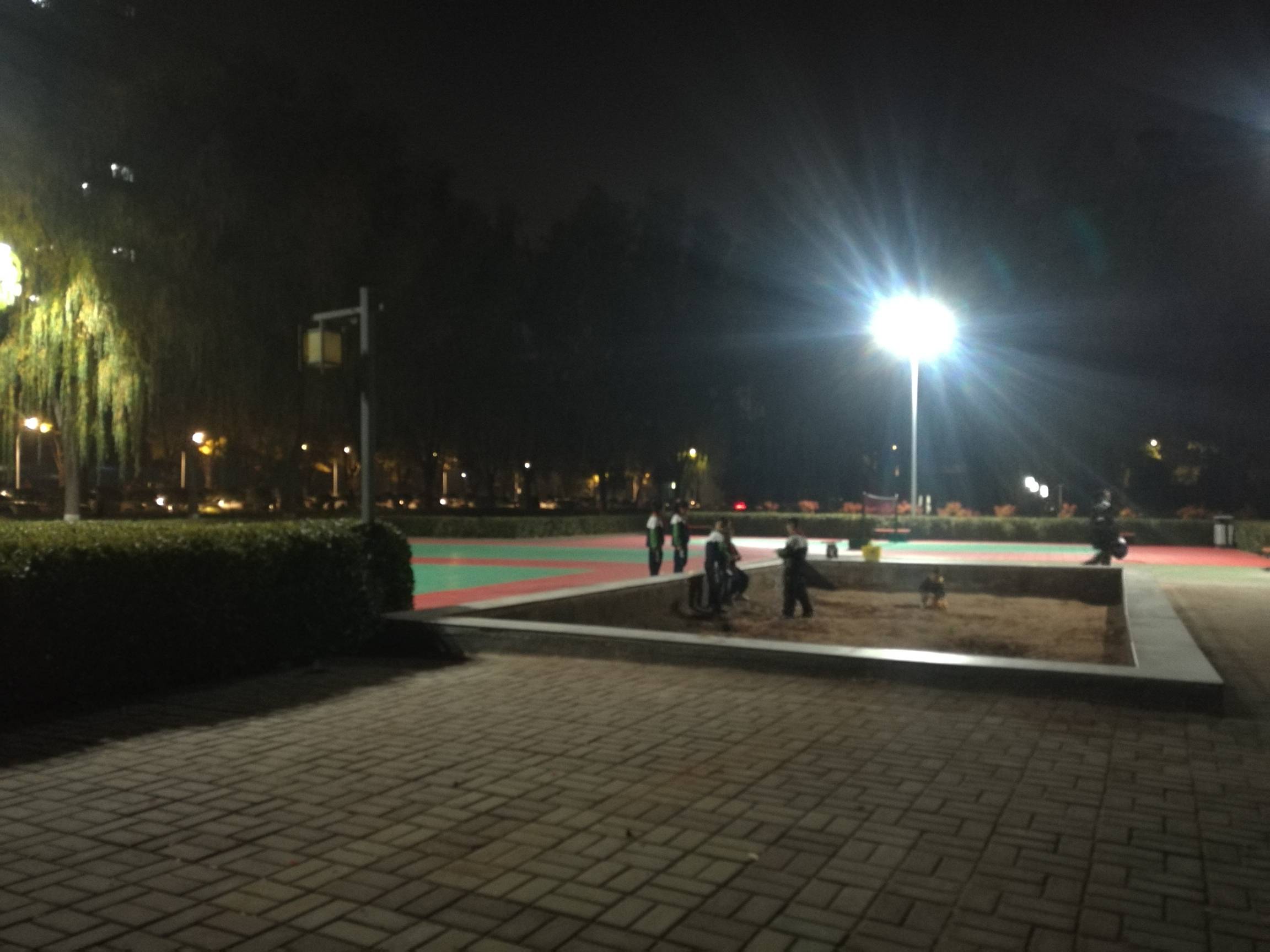 挂b公园无处可去了 北方这天晚上会不会冻麻了 

38 / 作者:努力优秀_ / 