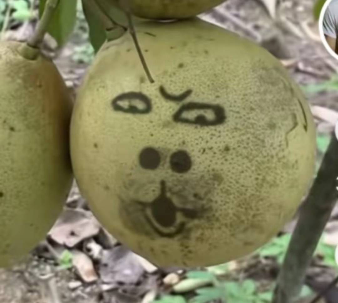 XX满脸泪水，心理几近崩溃，反复呢喃道:.哥，我知道错了，我真的知道错了。.
小哥摇摇97 / 作者:夜也快8 / 