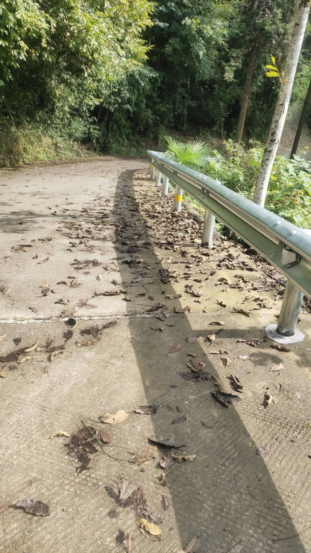 科目一那么多题，你们怎么记住的啊？看着都脑壳痛

78 / 作者:知了好不 / 