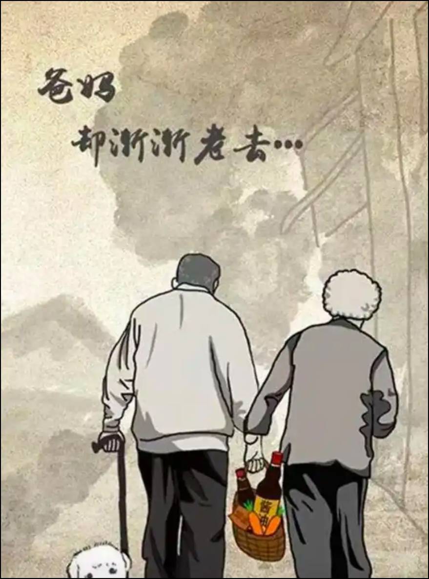 老哥们，假如，我是说假如啊，40年后，你送走了父母最后一程，世上再无至亲之人，你也45 / 作者:卡农豆包 / 