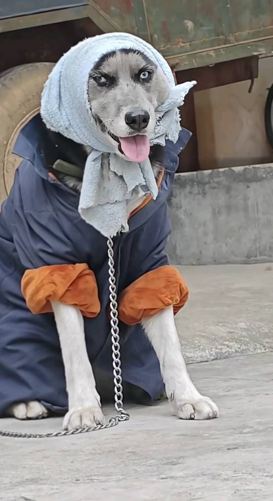 周周有约＋您的财富小目标

83 / 作者:夜也快8 / 