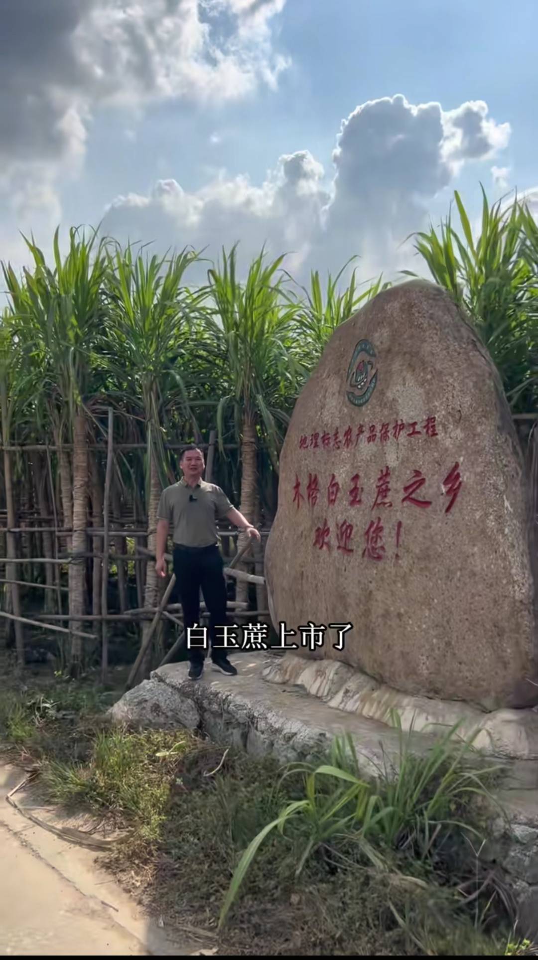 准备和初中女同学回去搞直播，卖老家特产白玉蔗了，有老哥帮衬吗，驾照校长代言镇楼

95 / 作者:永恒yi / 