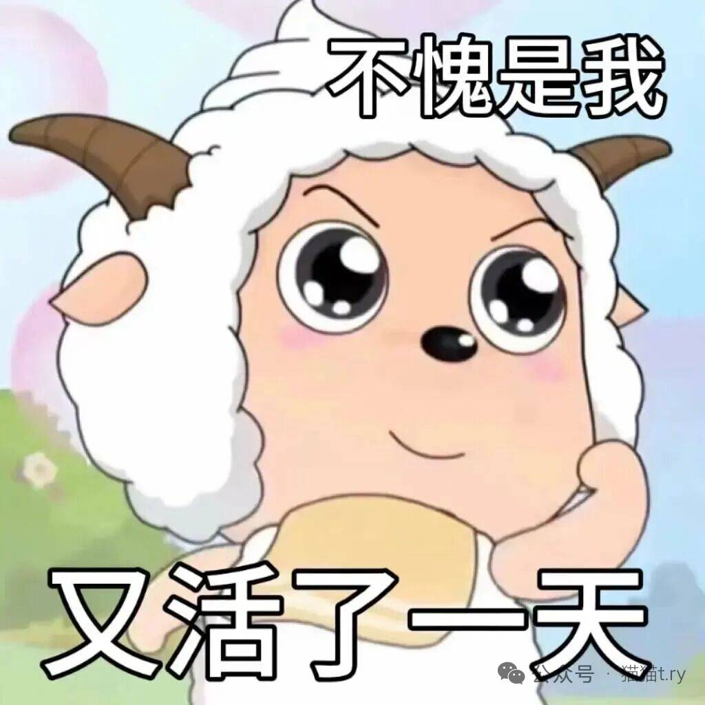 下岭贝挂壁房，申请房东，老登，200块，那老头子欠打

18 / 作者:钢筋工512 / 