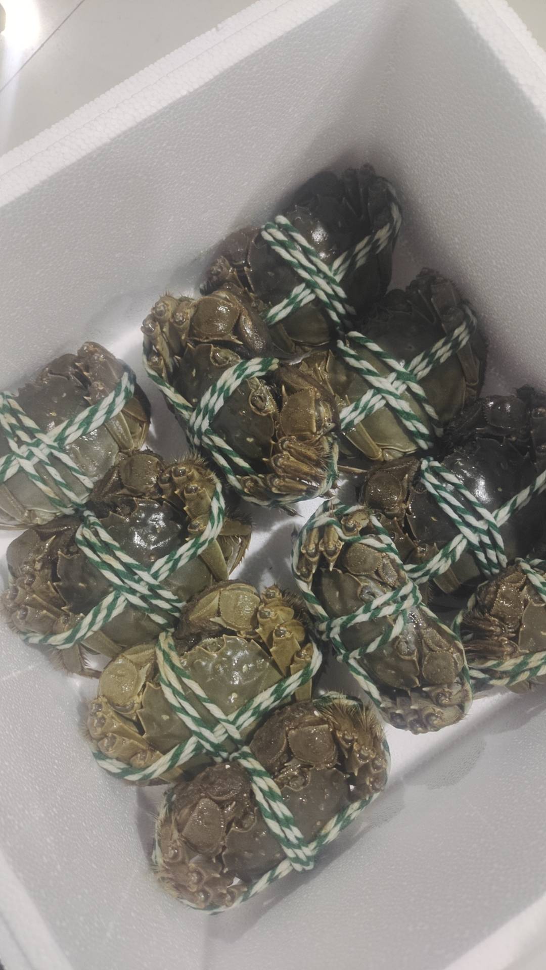 老哥吃螃蟹

18 / 作者:雨夜带伞不带刀丶 / 