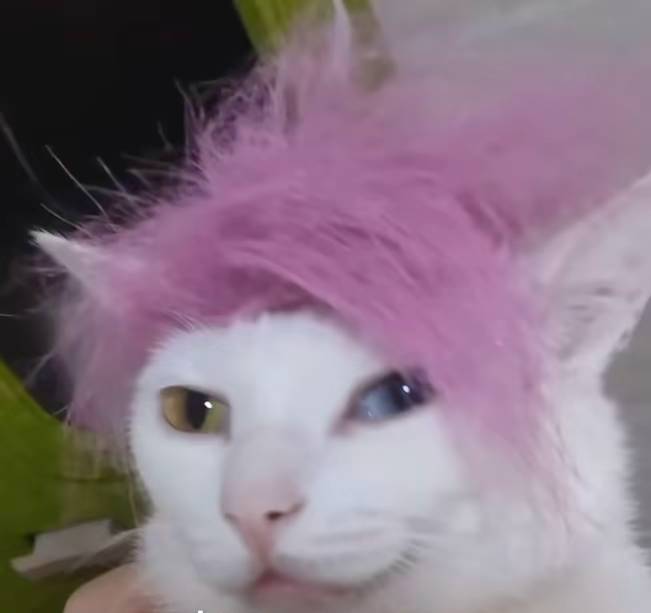 农村真的不方便啊荒无人烟，没有娱乐。还天天下雨

56 / 作者:知了好不 / 