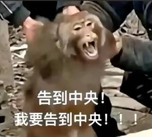 哎，又挂壁了，贵阳崽收到二手果13p两天了还不收货不会要最后一天来屠龙刀吧

50 / 作者:重盛安 / 