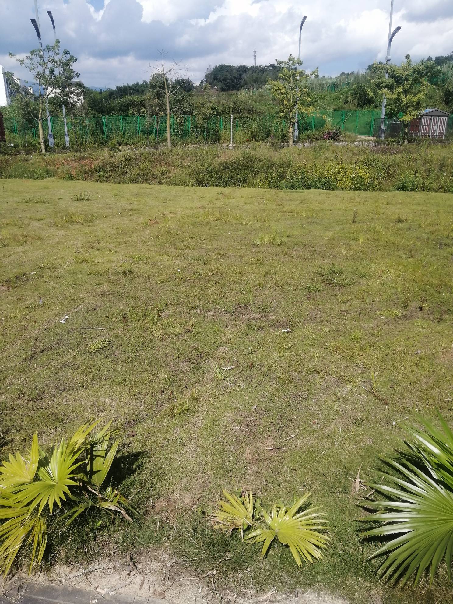 今天投诉京东快递网点，能得到赔偿吗？ 我买的牛奶到货了，不给我派送。打了一个电话24 / 作者:卡农新来的 / 