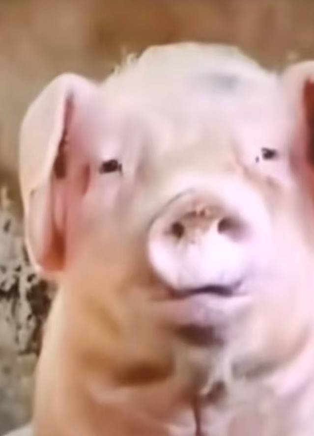 看广告看了 10 个小时差不多 350，比打螺丝舒服多了

22 / 作者:小屎 / 