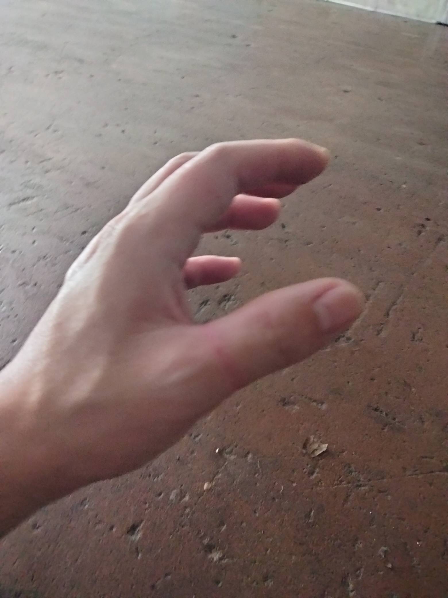 一共负债16个左右，进厂打螺丝快3个月了，除去吃住和其他日常消费，存了这点毛毛雨，37 / 作者:君子之交淡如水 / 