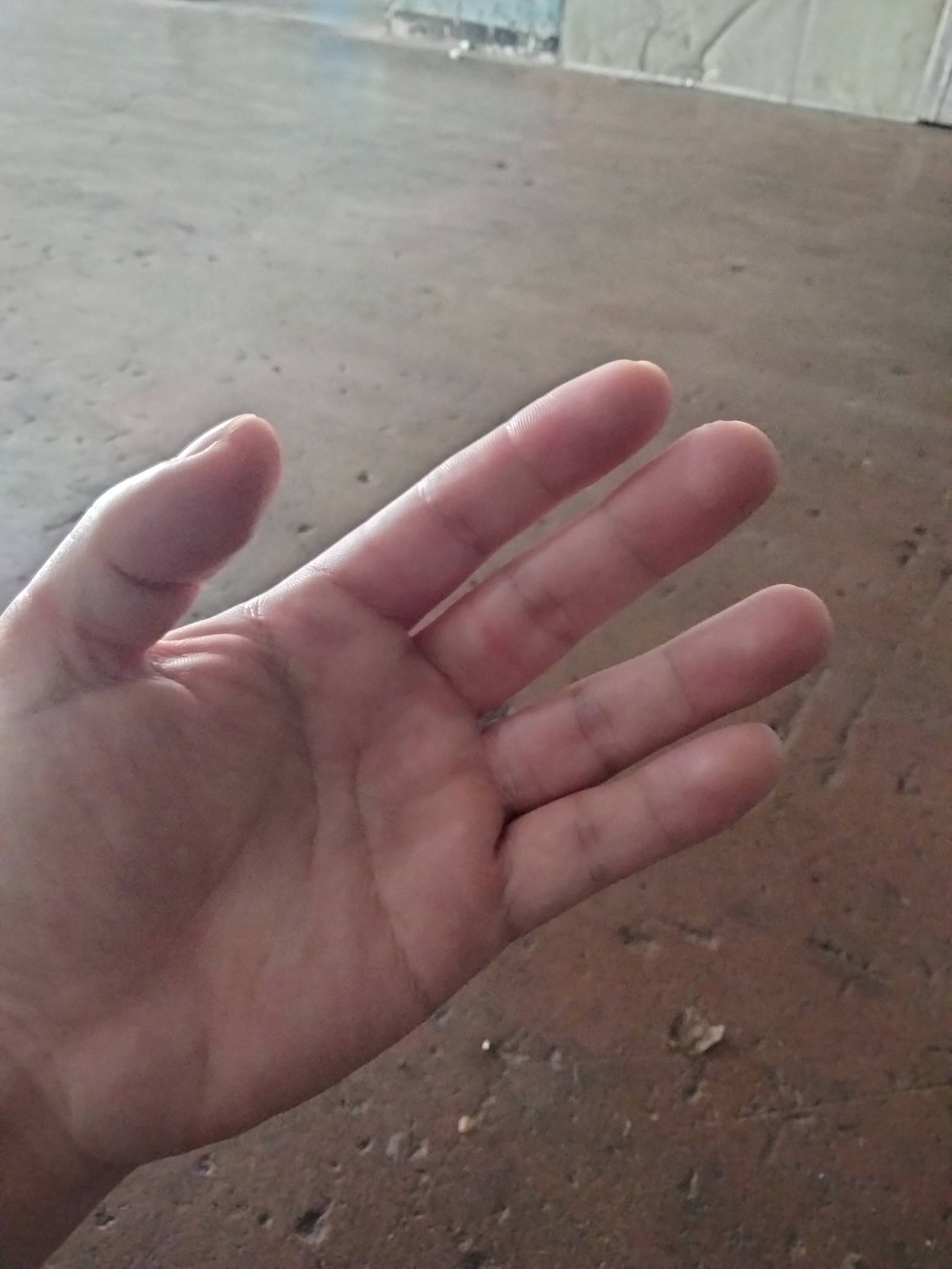 一共负债16个左右，进厂打螺丝快3个月了，除去吃住和其他日常消费，存了这点毛毛雨，100 / 作者:君子之交淡如水 / 