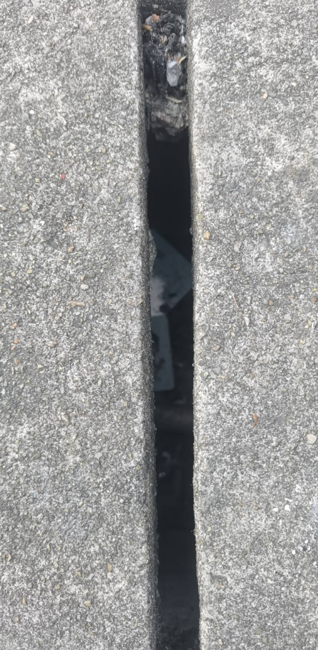 要不要捡起来

46 / 作者:夜也快8 / 