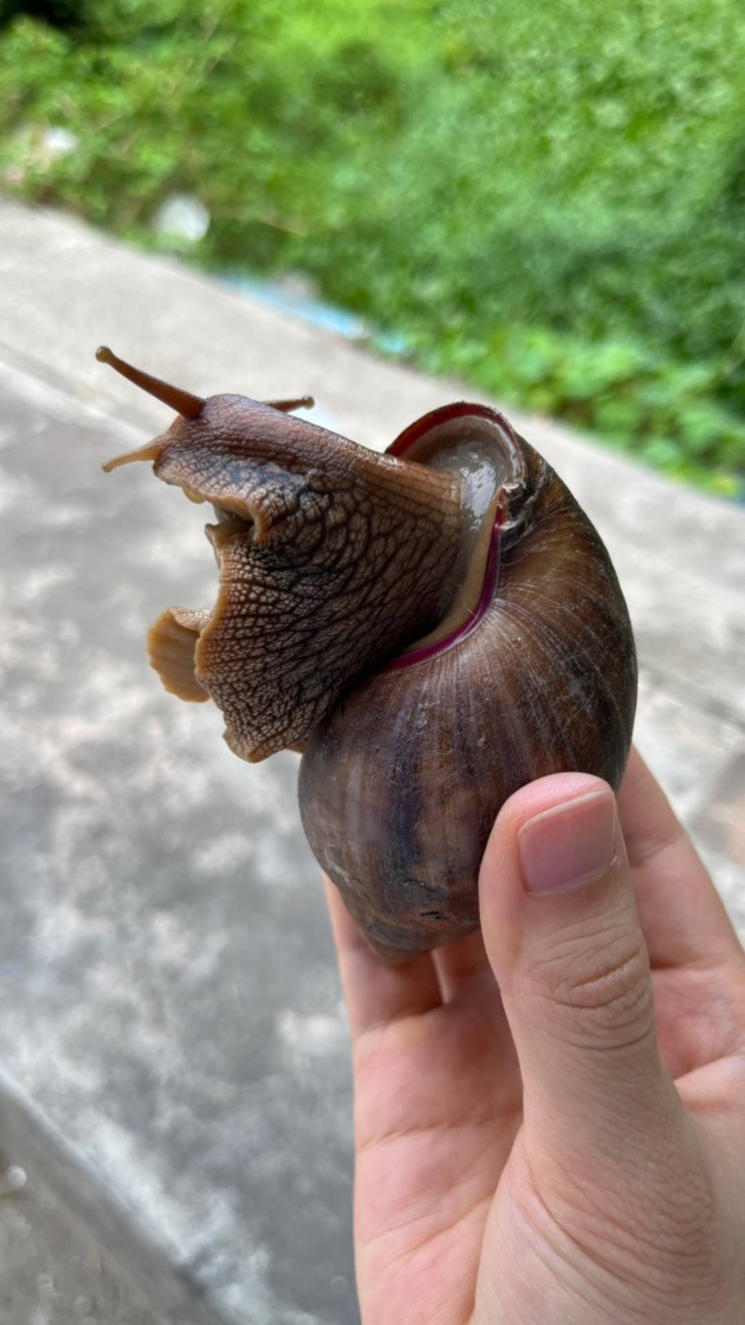 吃晚饭了吗？老哥们

57 / 作者:季伯长 / 