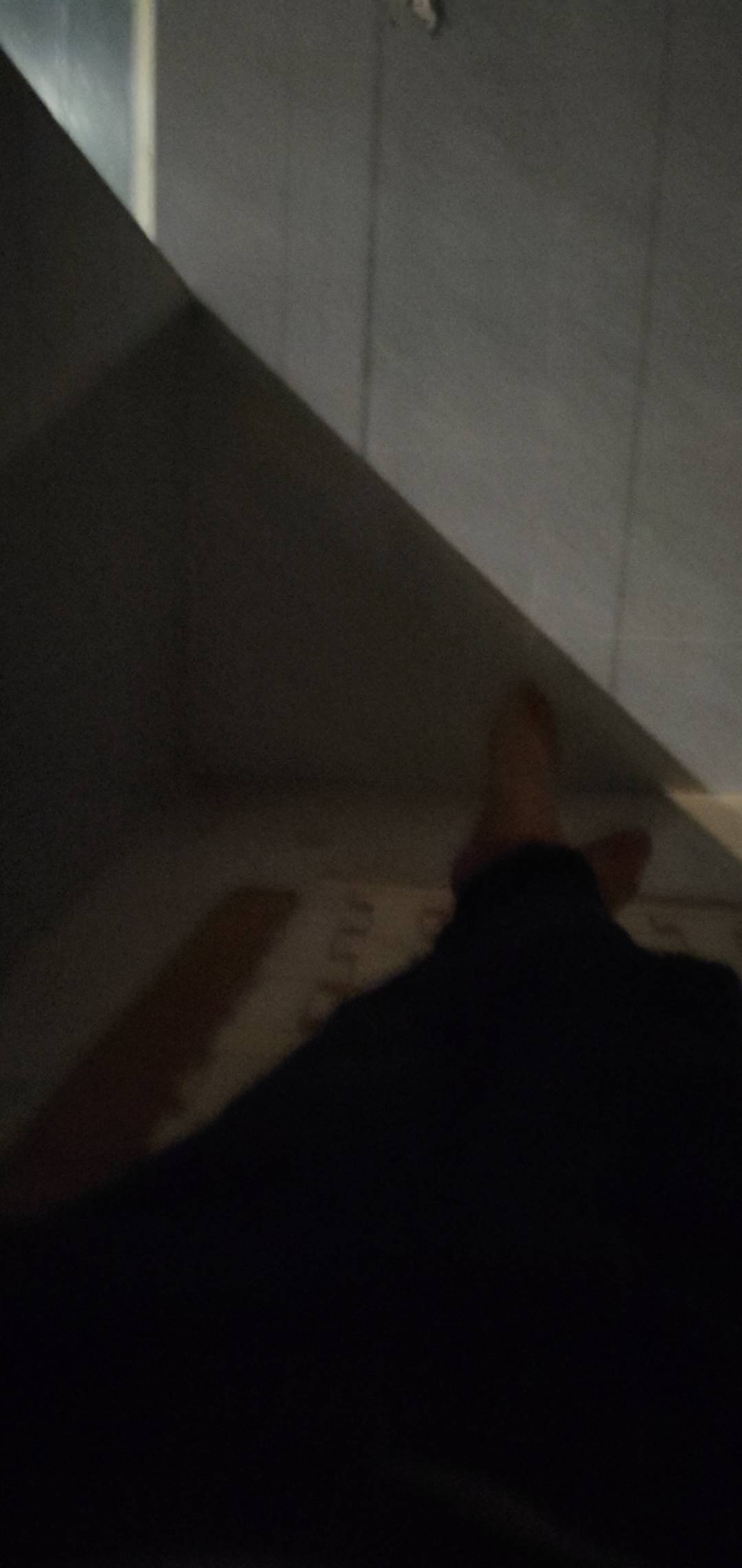 吃上了

59 / 作者:挺好哈哈 / 