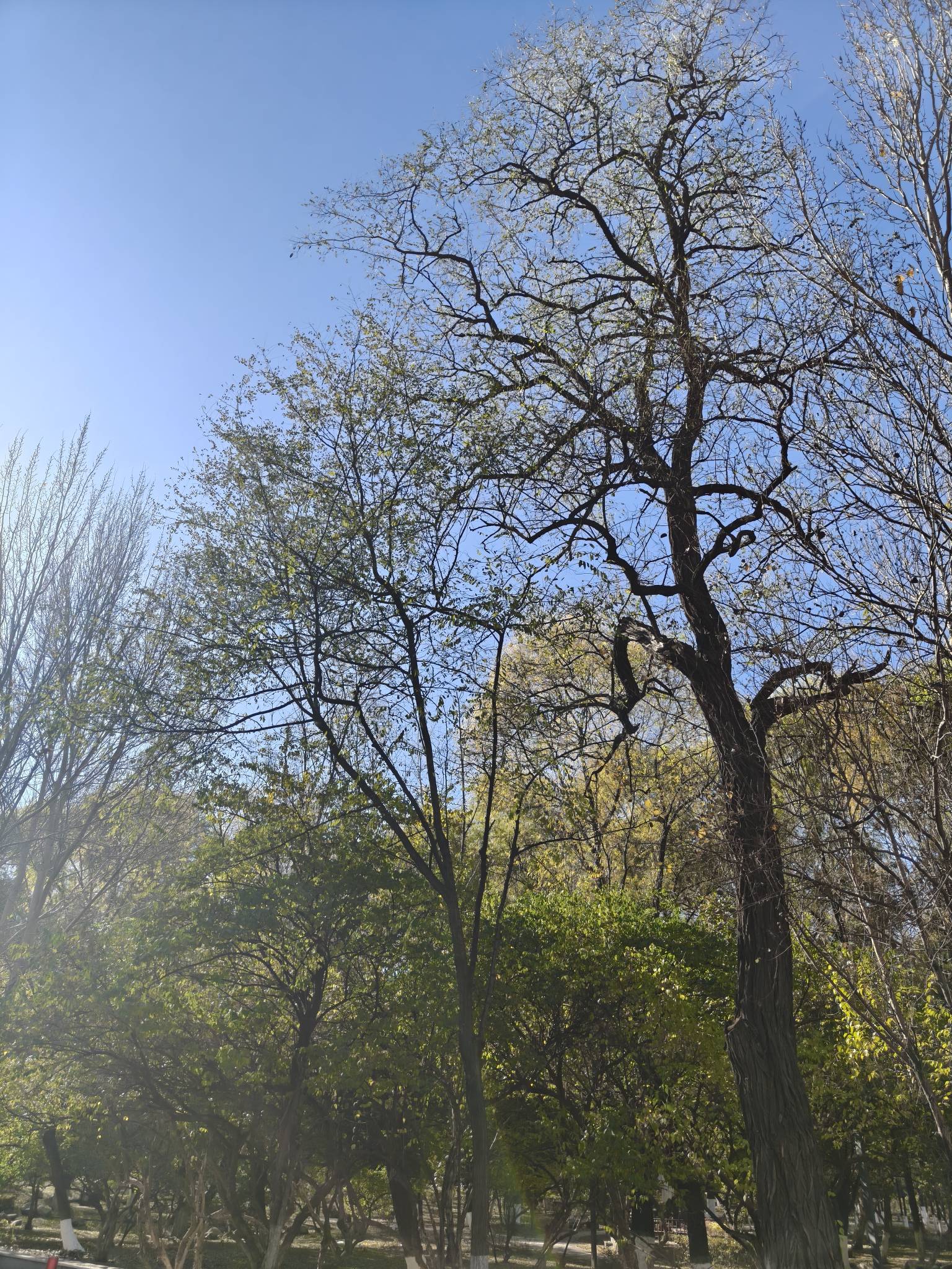 挂壁在公园老冷啊


91 / 作者:番茄炒土豆 / 