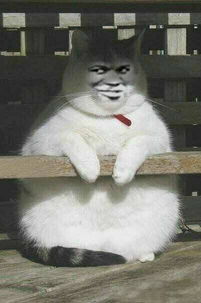 重生之回到卡农当偷申请挂壁仔，觉醒系统提前知道活动

87 / 作者:蓝色月夜 / 