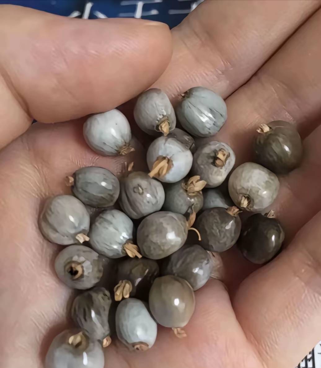 京东先想后附500，只能实物，外卖！有老板收吗

24 / 作者:非凡哥. / 