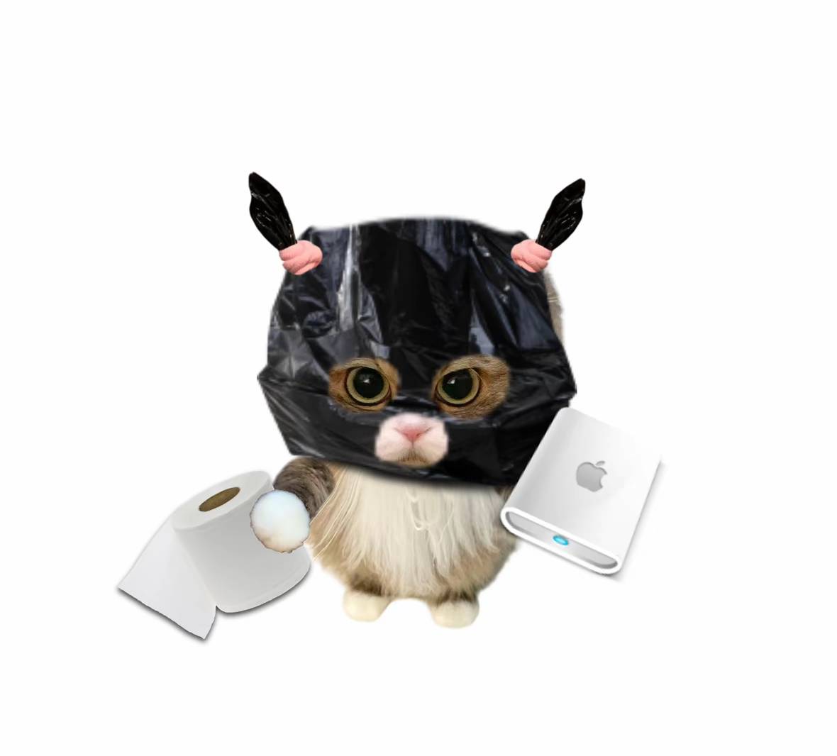 有没有老哥推荐一个三千下的摩托车想在网上买一个，女式那种

34 / 作者:知了好不 / 