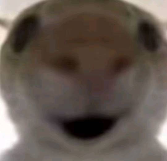 挂壁仔的时间过得太快了，通宵到早上四五点一觉睡到下午四五点，一天就这么过去了

88 / 作者:理理理66 / 