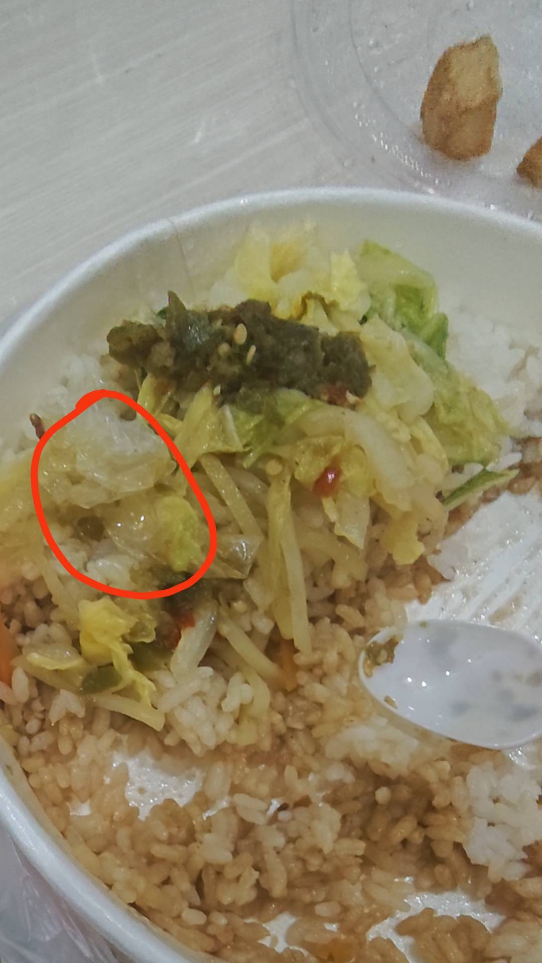 服了，饿了么第一次吃出隐藏款了，吃了一半，刚开始蜷缩着还以为是白菜，结果展开是塑33 / 作者:山月斜 / 