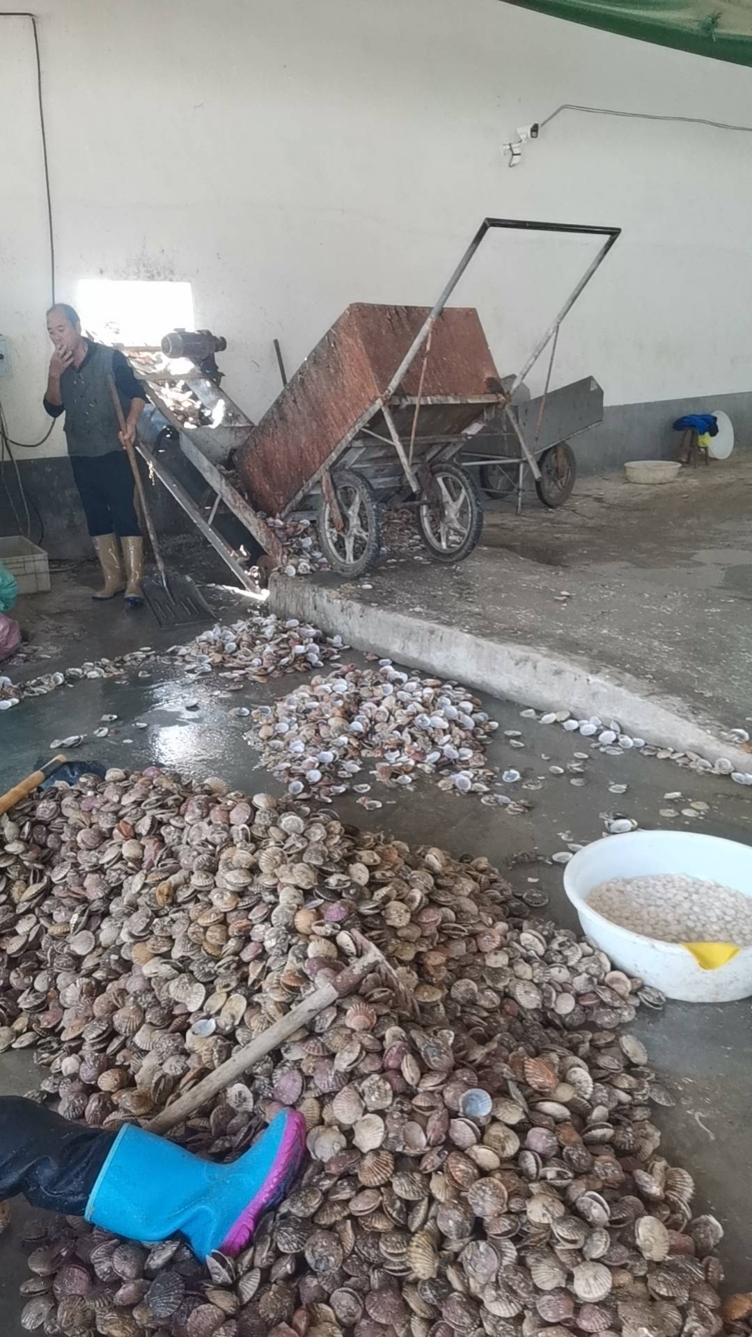 平干活了，一天能搞个4.5百



72 / 作者:浪花的泡沫、 / 