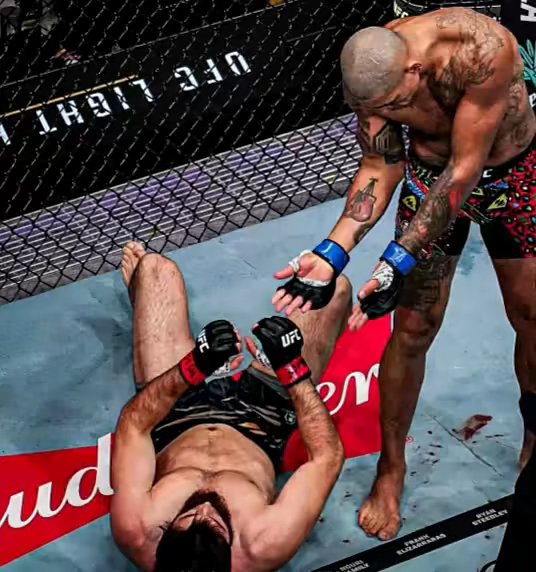 最近很多数藏台子复活了，大家注意点别上头哦

23 / 作者:顾小贝 / 