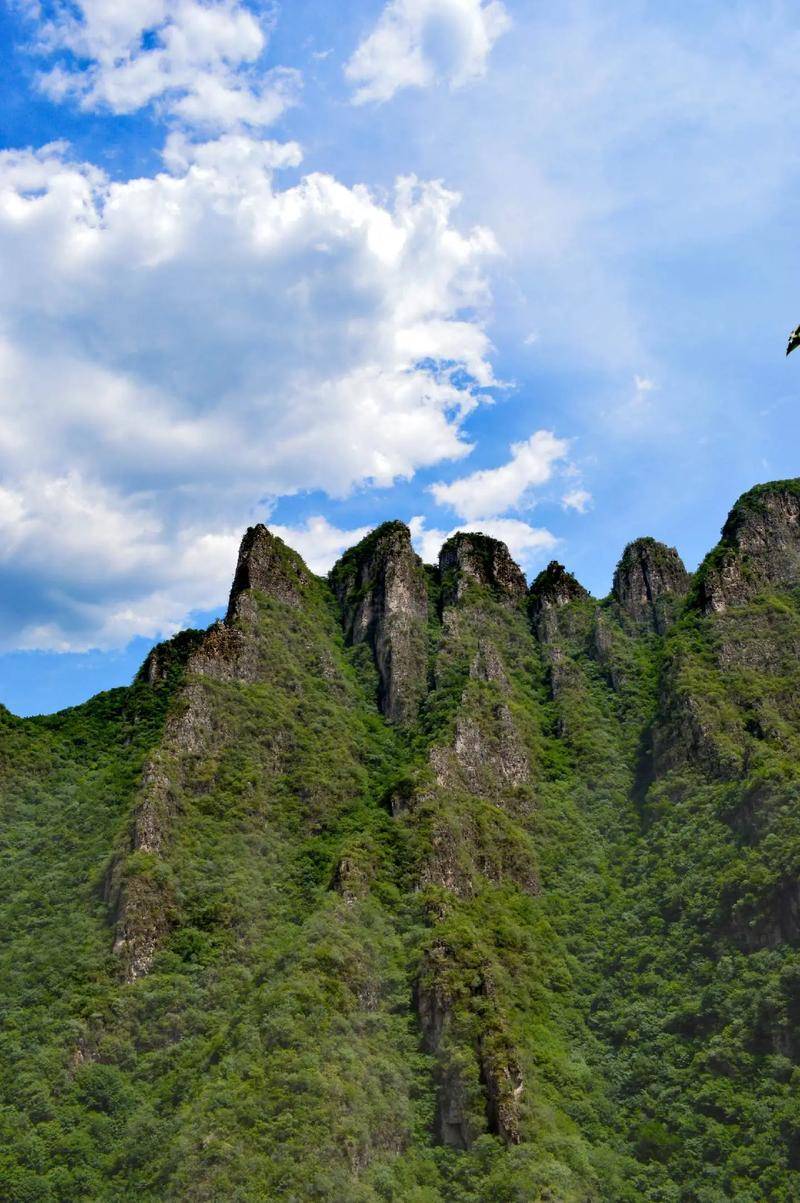 来来回回打字有什么意思 能不能学一学陈奕迅和泽雨 谁发红包老哥们支持谁 打字找个群92 / 作者:小杜的躺平日记 / 