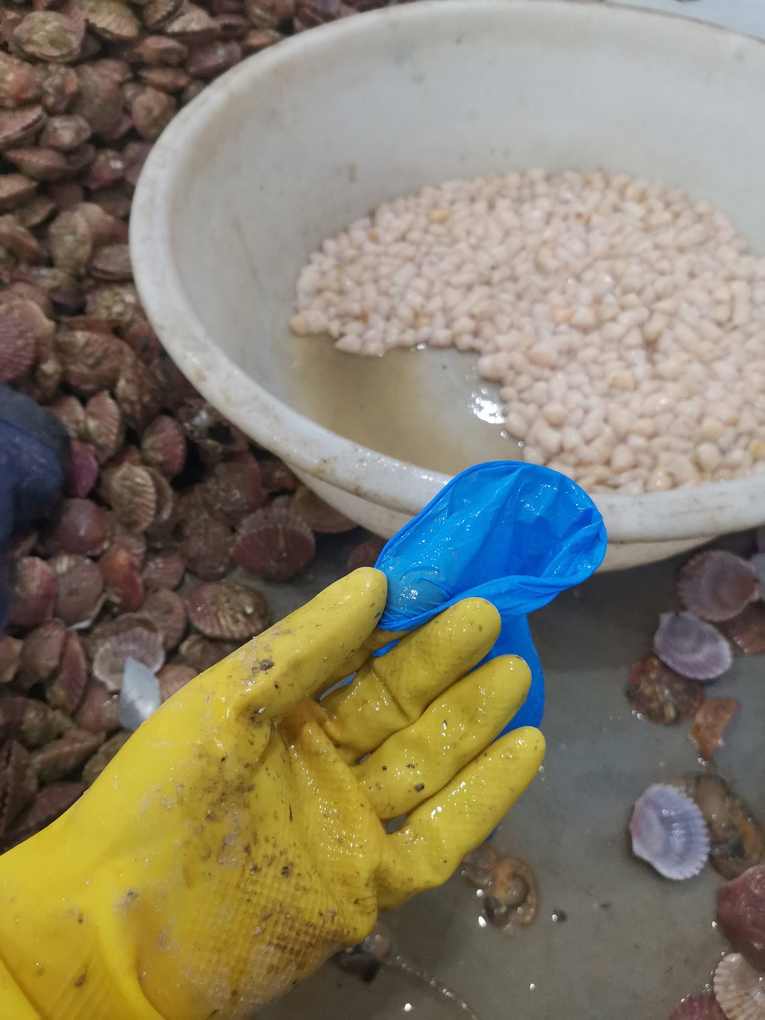 2点半起的，开始努力吧




44 / 作者:浪花的泡沫、 / 