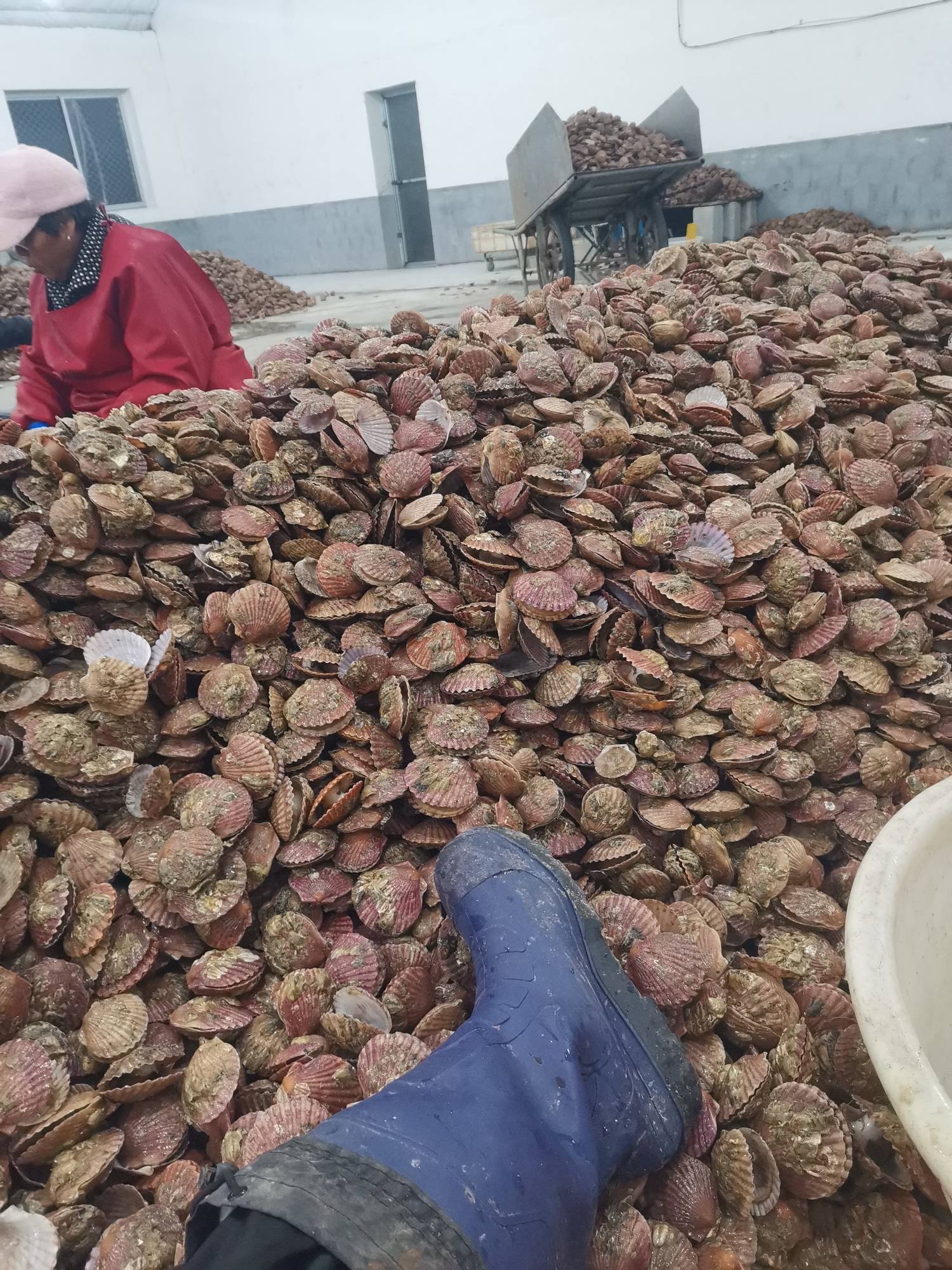 2点半起的，开始努力吧




24 / 作者:浪花的泡沫、 / 