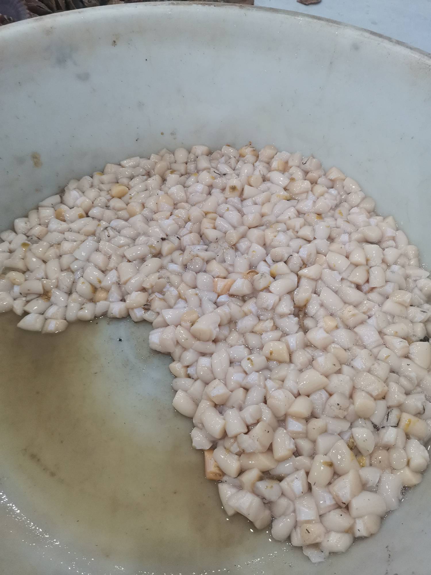 2点半起的，开始努力吧




71 / 作者:浪花的泡沫、 / 