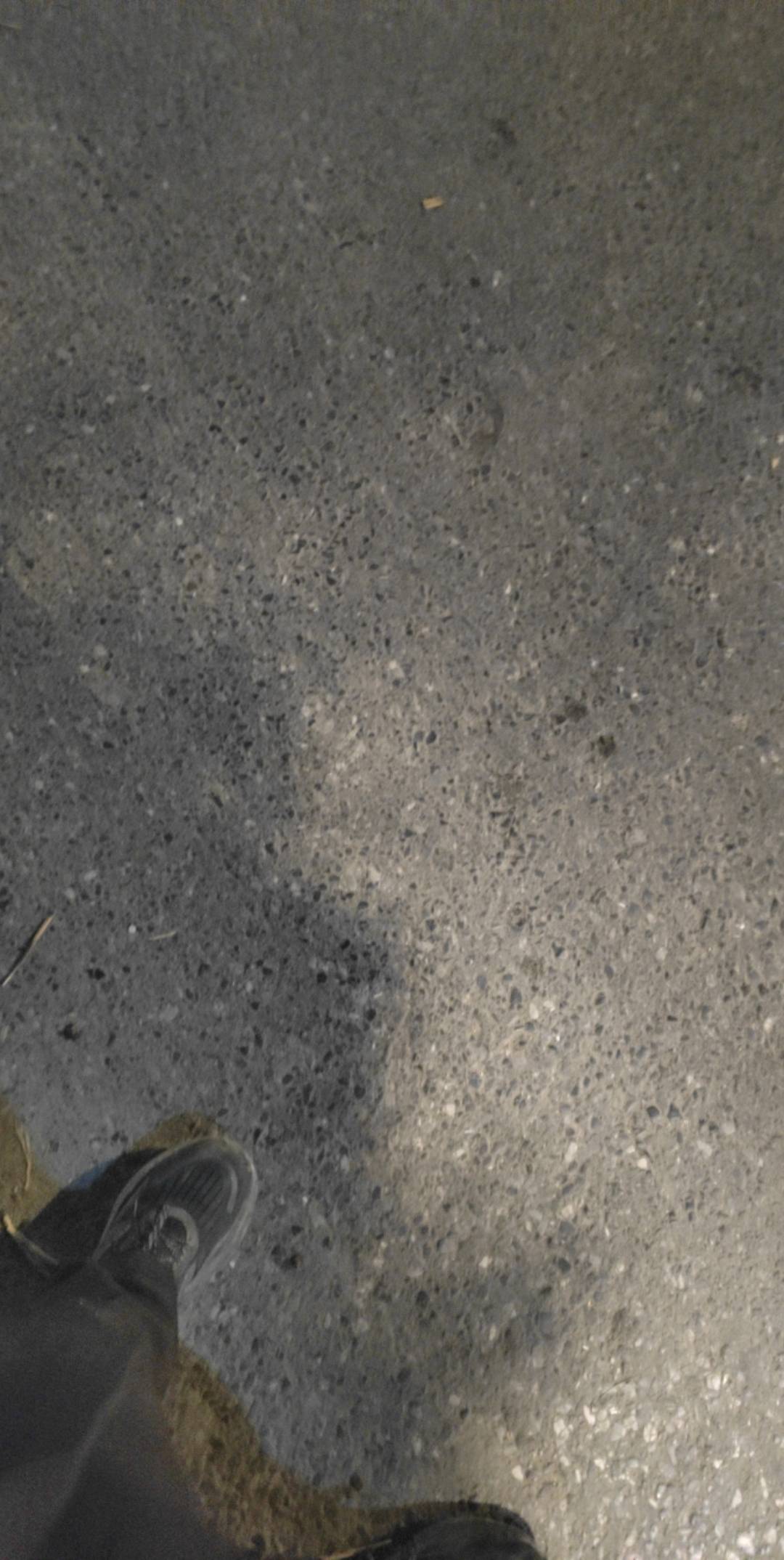 打卡第12天
11月，挂壁保安
12小时不管吃住，240一天
出发，上班就是坐等下班

3 / 作者:酒肉和尚 / 