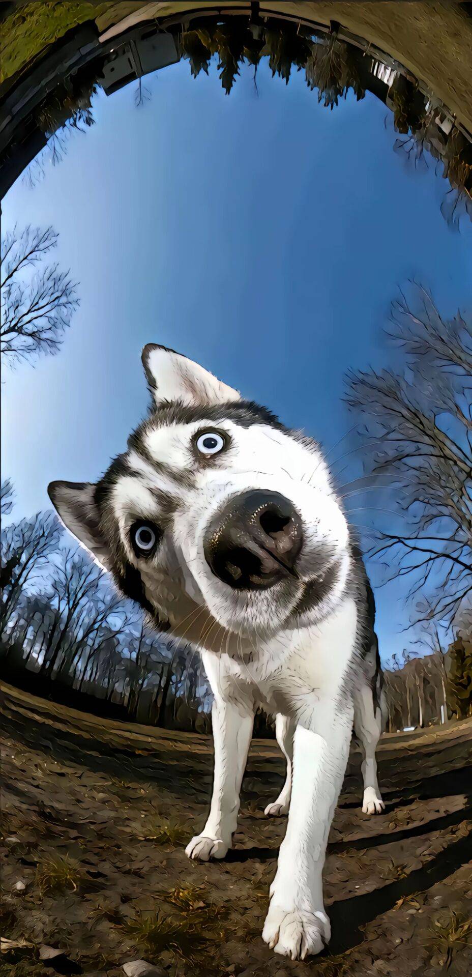 昨天正常开广州钱包抽到的都还没到卡包，都清楚记录了，老哥们有打他们客服电话吗？70 / 作者:萌龙 / 