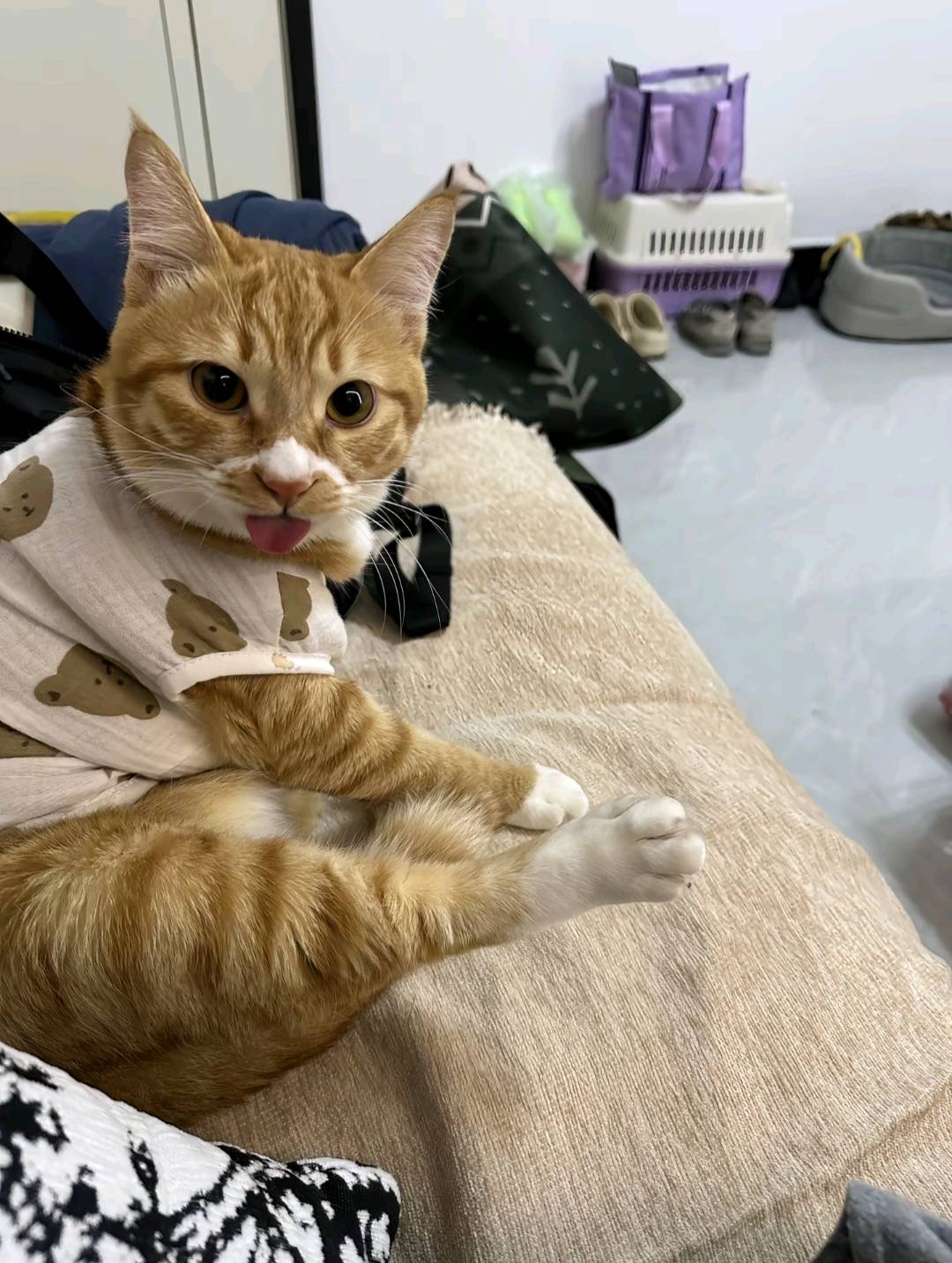 一天申请六、七十块钱，是完全可以达的到的。所以那个一个月下来，能申请个一千多块钱65 / 作者:卡侬大喇叭 / 