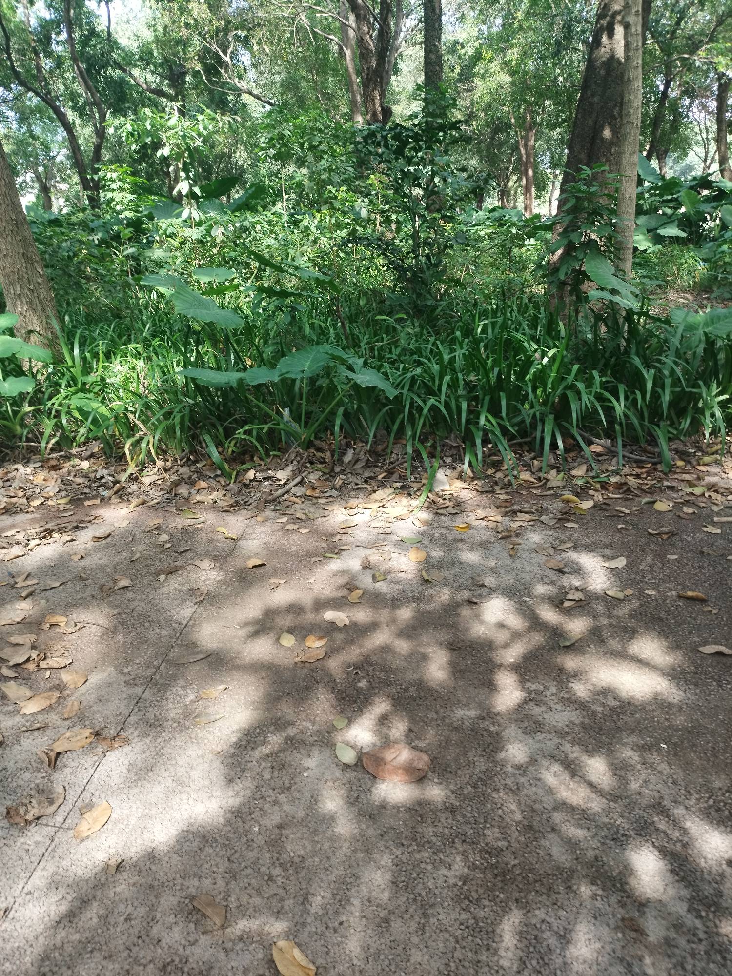 挂壁公园了老哥

53 / 作者:此去经年不识 / 