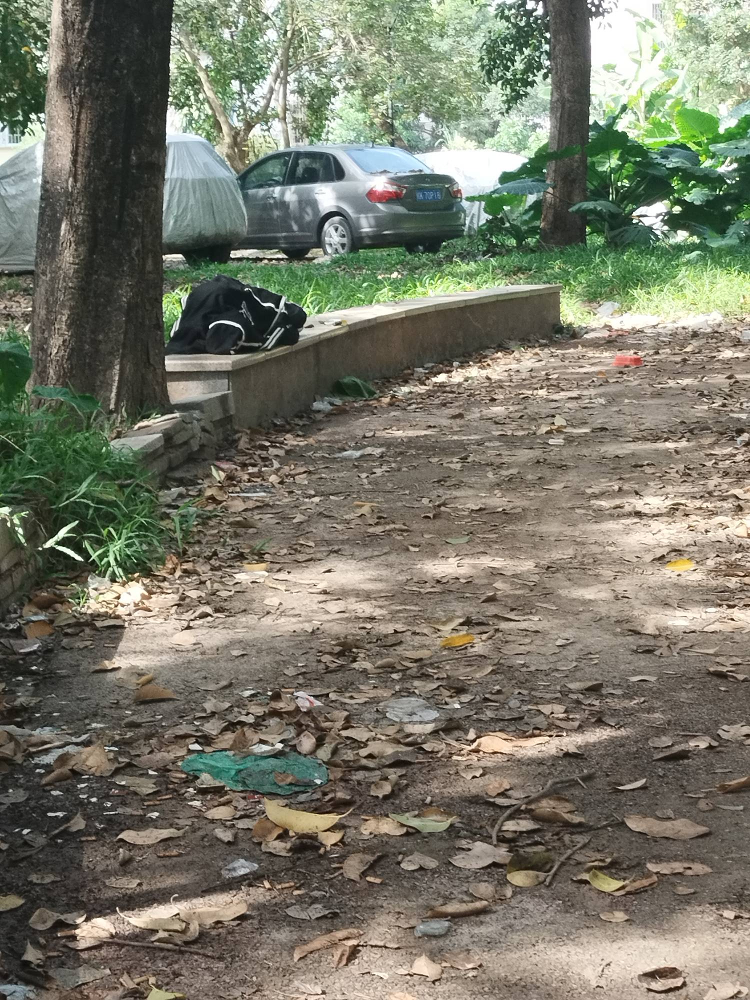 早上突然没电了，弄的七点多才睡，一觉醒来都十二点了，随随便便弄了个菜，一个人刚好15 / 作者:此去经年不识 / 