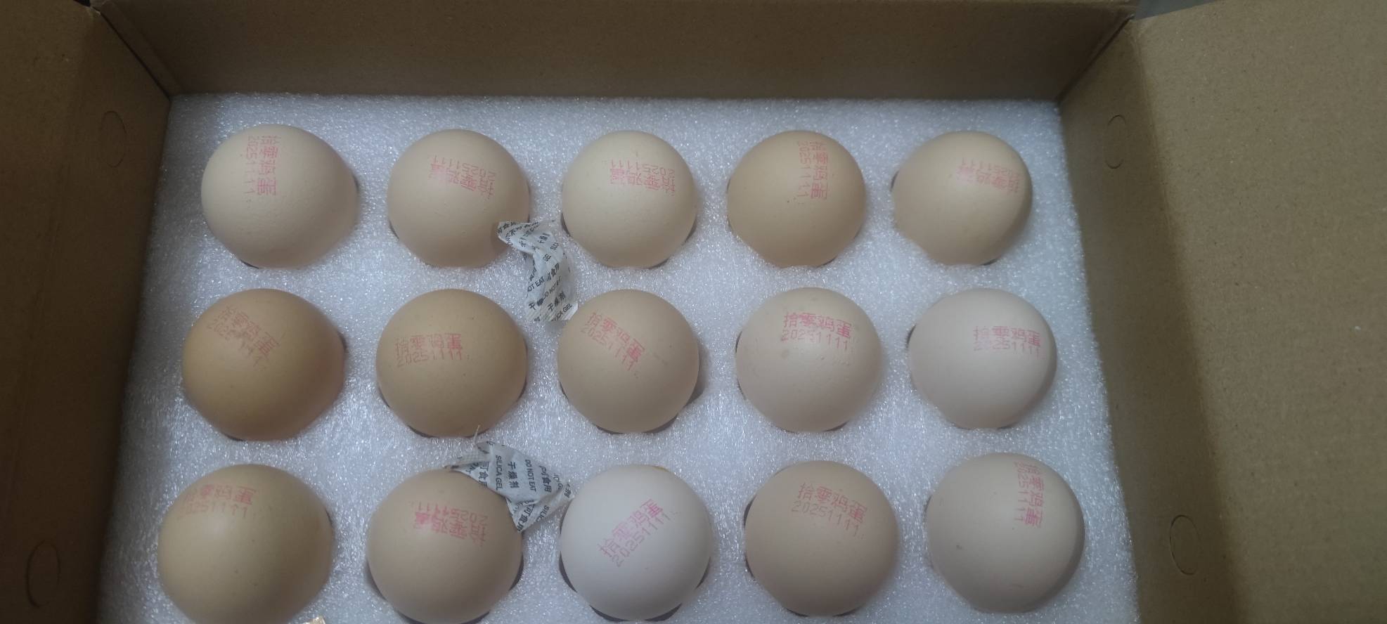 0薅了30个鸡蛋


34 / 作者:木mu木 / 