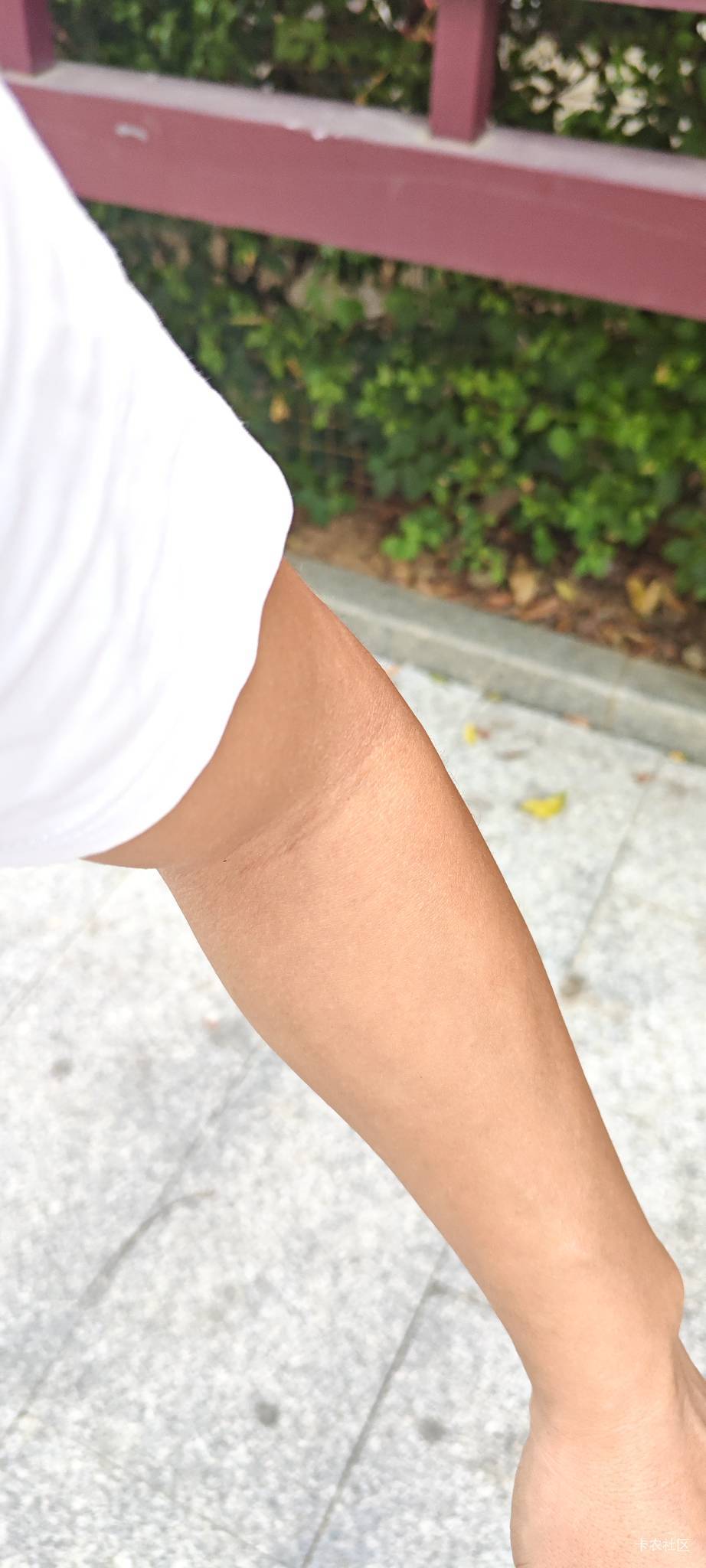 掰臂力棒有没有用？
买了30公斤，50公斤的，现在只掰得30公斤的

10 / 作者:朱铁胆 / 