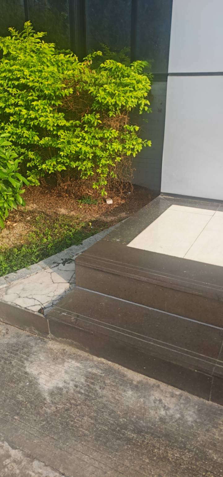 工厂保安又打卡了

16 / 作者:qiancen / 