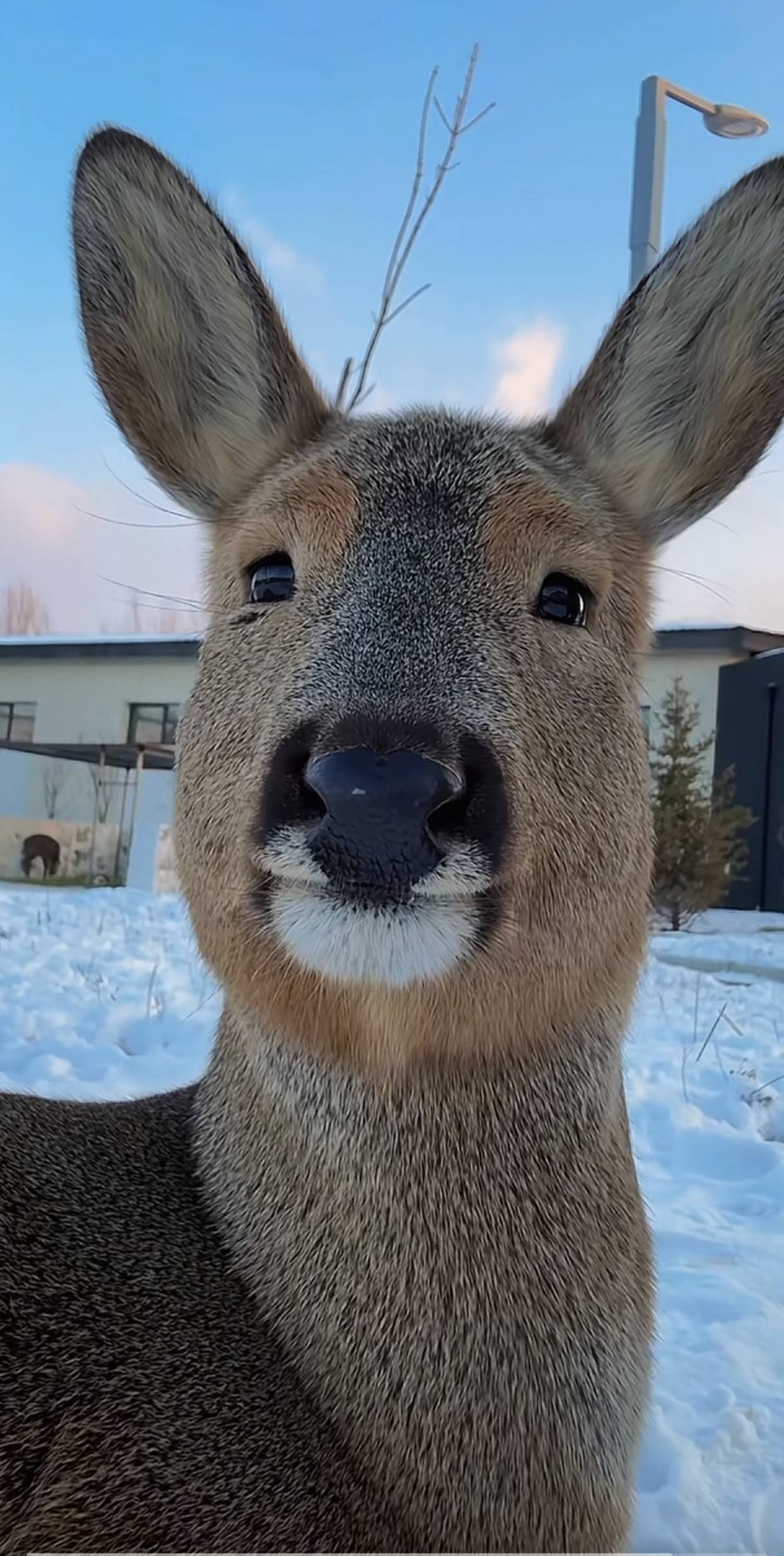 支付宝不同实名多笔付款被拉黑，付款不出优惠，多久能放出来？

94 / 作者:从此向钱看 / 