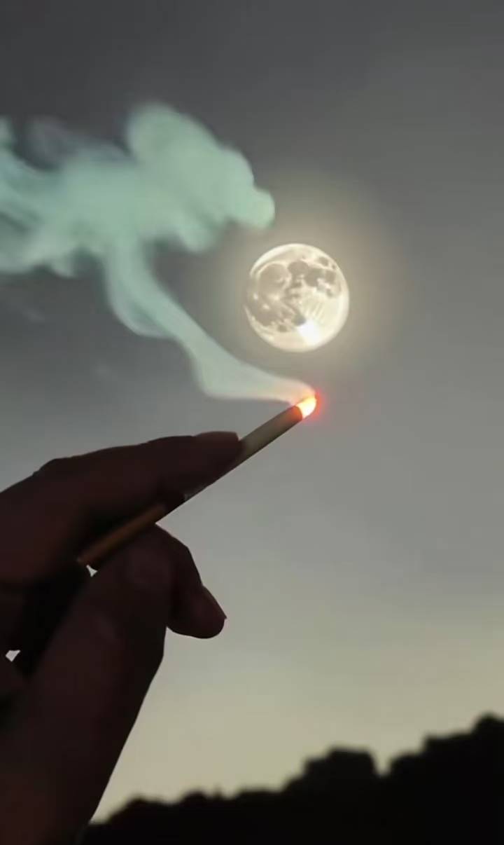 @紫羽秋月 秋月，我无数次回忆过我们之间的点点滴滴，我曾经以为你和别人不一样，全身69 / 作者:雨夜带伞不带刀丶 / 