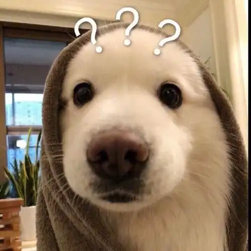 南京话费90出

12 / 作者:蚍蜉撼猪 / 