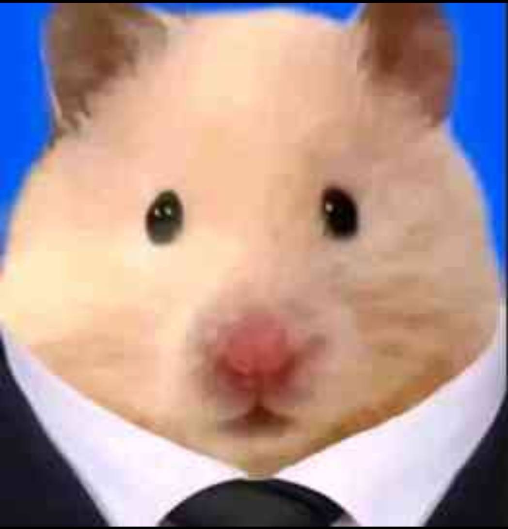 天空的时候没毛

53 / 作者:老哥怎么玩啊 / 