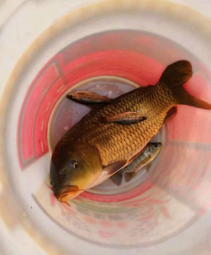 我宣布11点开始，给全卡农全体老哥放半小时假

90 / 作者:永恒yi / 