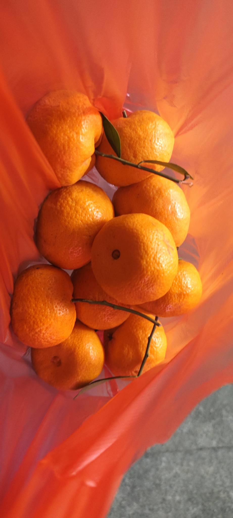 一瓶牛子能买这么多橘子，邮储5.88没撸到，不然免单还能赚0.88

86 / 作者:卡农豆包 / 