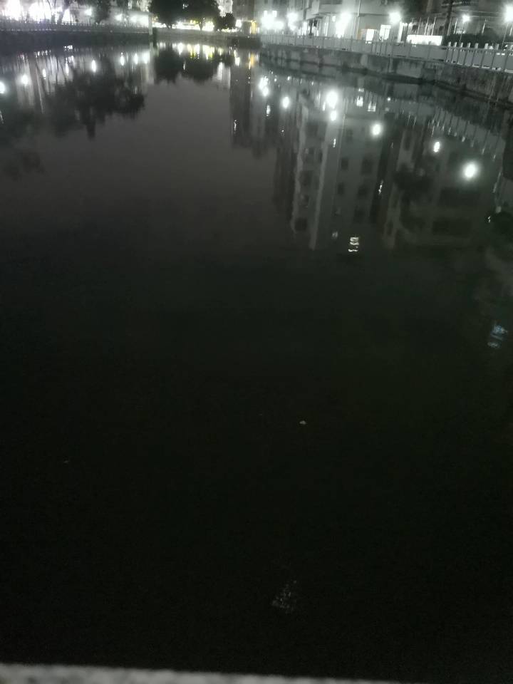 碰到一堆憨憨天天发，无语了

66 / 作者:虾仁炒饭 / 