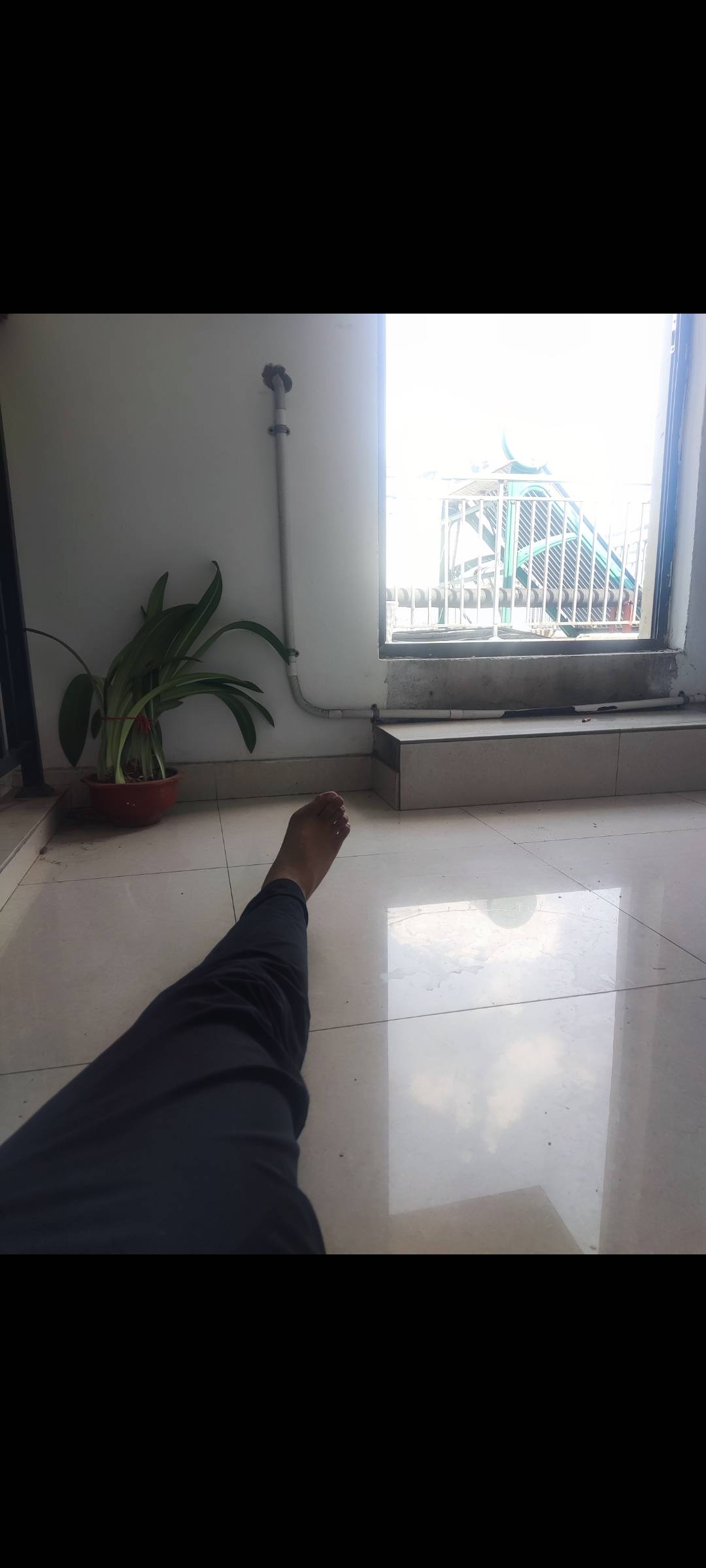 唉，没事出去挂b干嘛，还是在家的好，上个月出去睡公园一天累死累活薅羊毛只够吃上一31 / 作者:麻将糊了333 / 