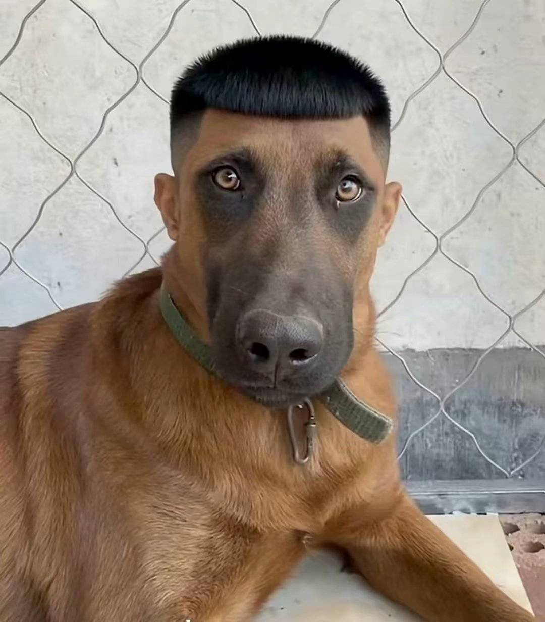 今天凉席异常的凉，刚躺下去立马跳起来了

56 / 作者:季伯长 / 