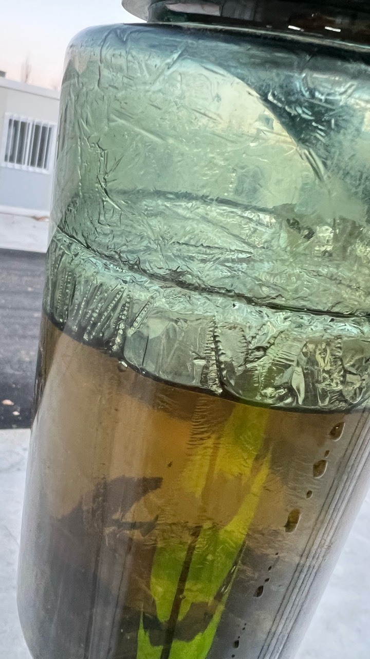 想起方舱那年0下十几度洗冷水澡



20 / 作者:不知明的靓仔 / 