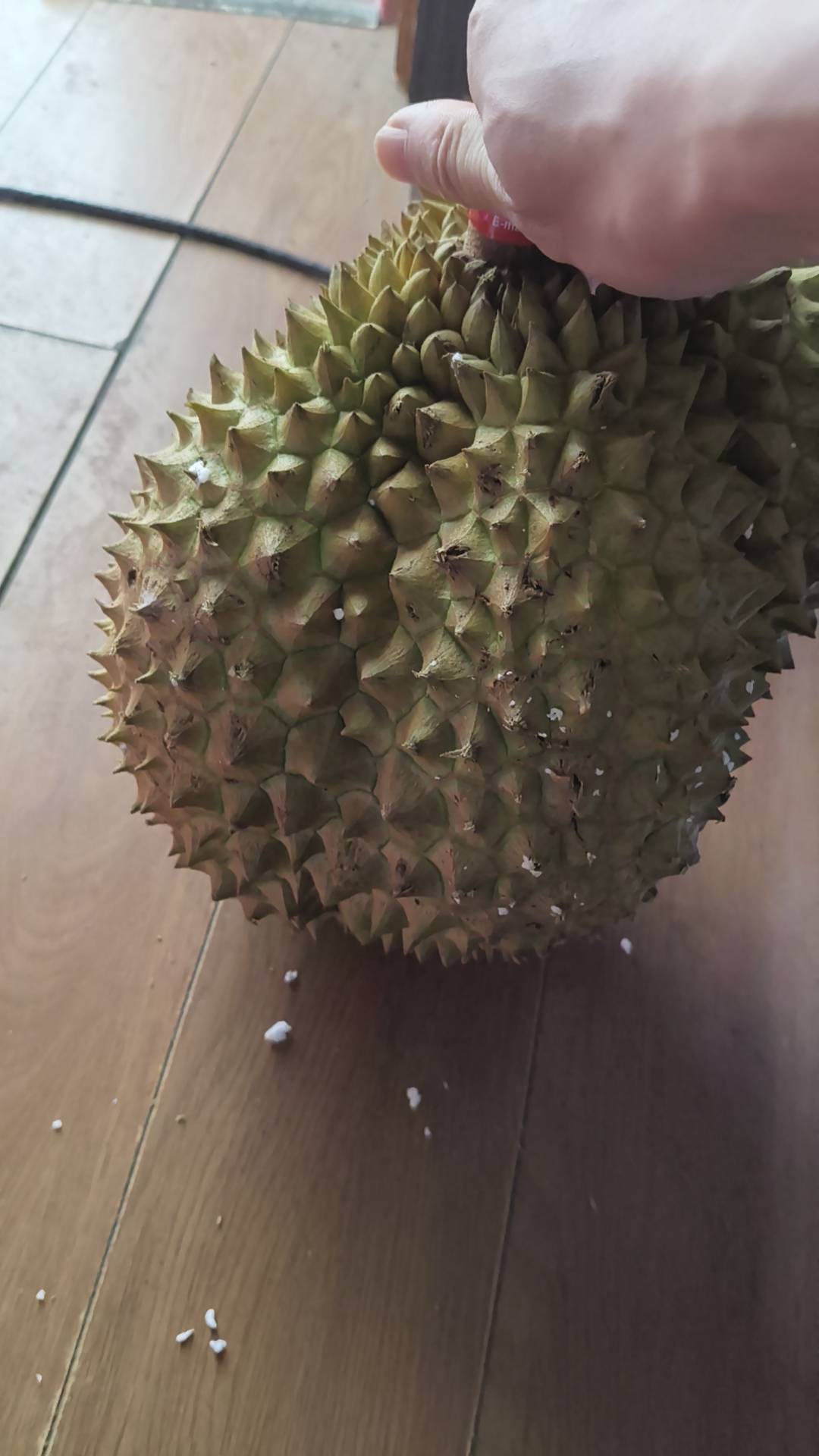 有没有上海奉贤南桥的老哥  让我们嗨起来行不行 明天去平庄西路爱奇谷吃个牛蛙锅

66 / 作者:卡农小六子 / 